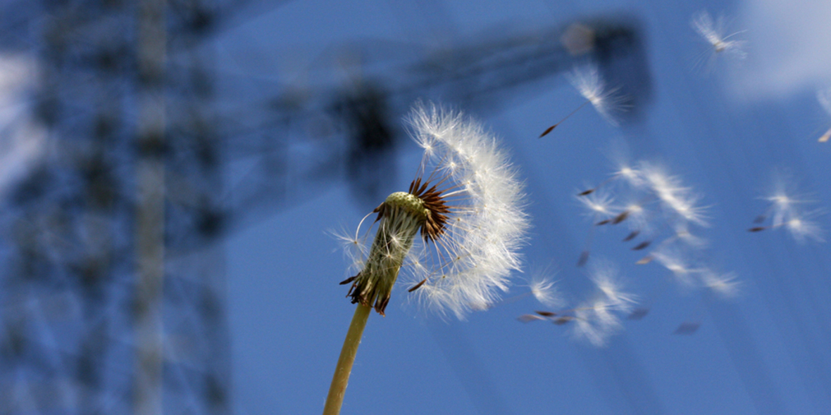 Erneuerbare Energien flexibler nutzen