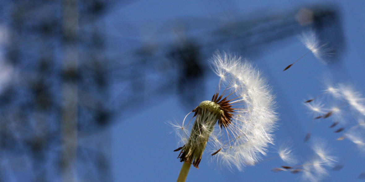 Druck für Klimaaktionsplan steigt