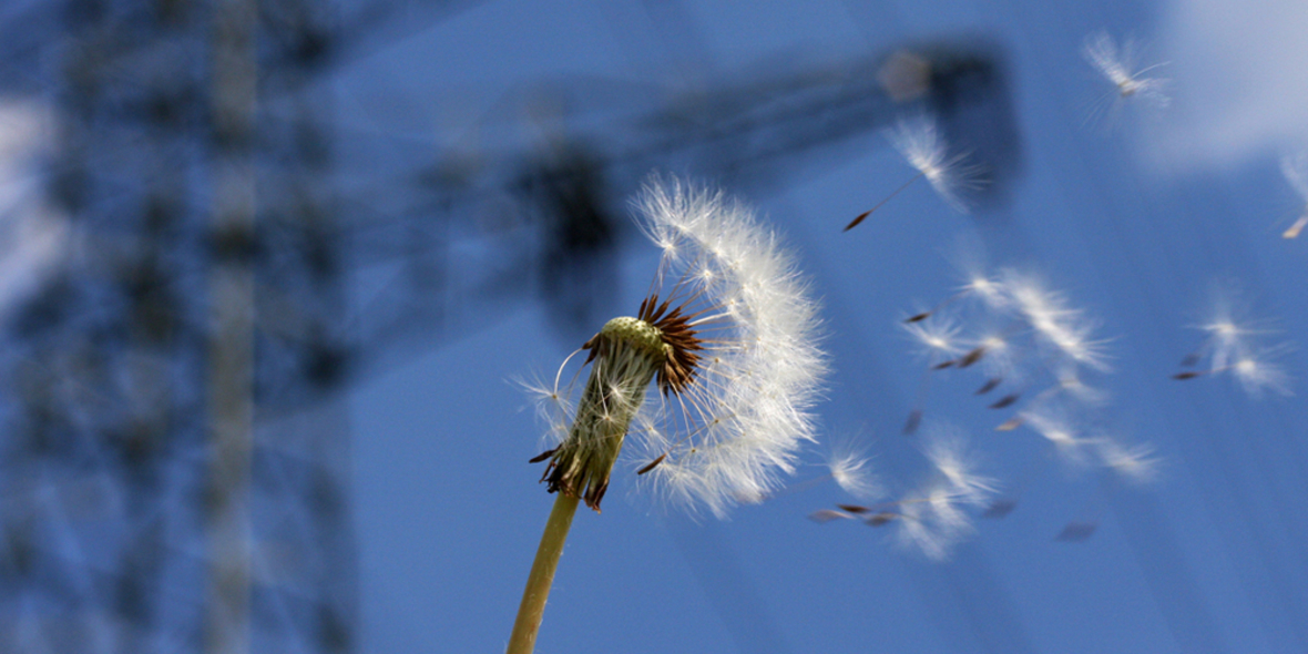 NABU: Kompetenzzentrum „Naturschutz und Energiewende“ als Chance