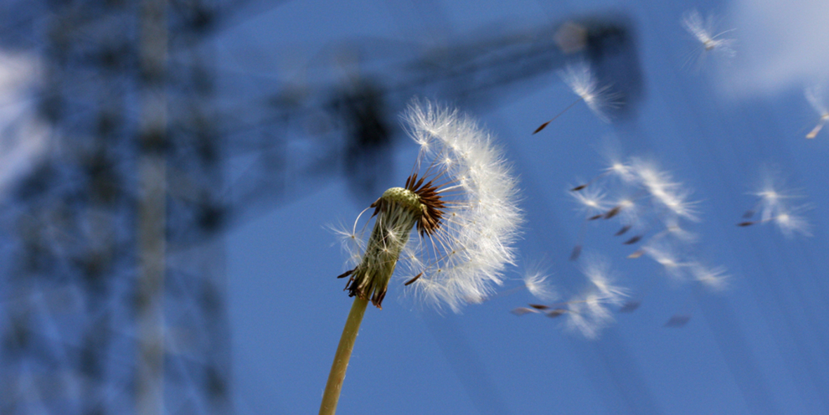 Energiewende: Bericht identifiziert politische Barrieren in G20-Staaten