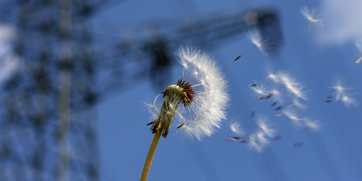 So sehen die Deutschen die Energiewende