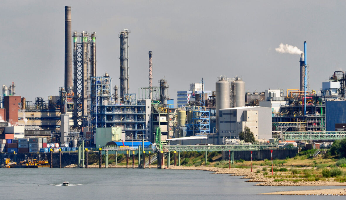 CO2 im großen Stil neutralisieren