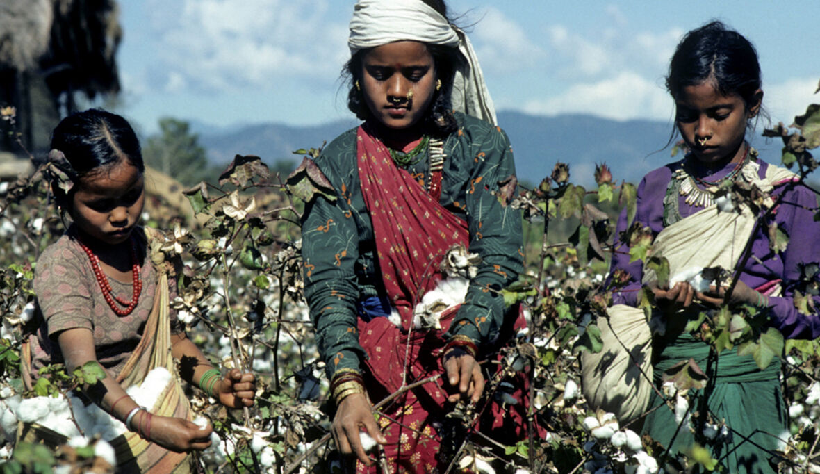 Bericht zeigt die Fortschritte im Kampf gegen Sklaverei