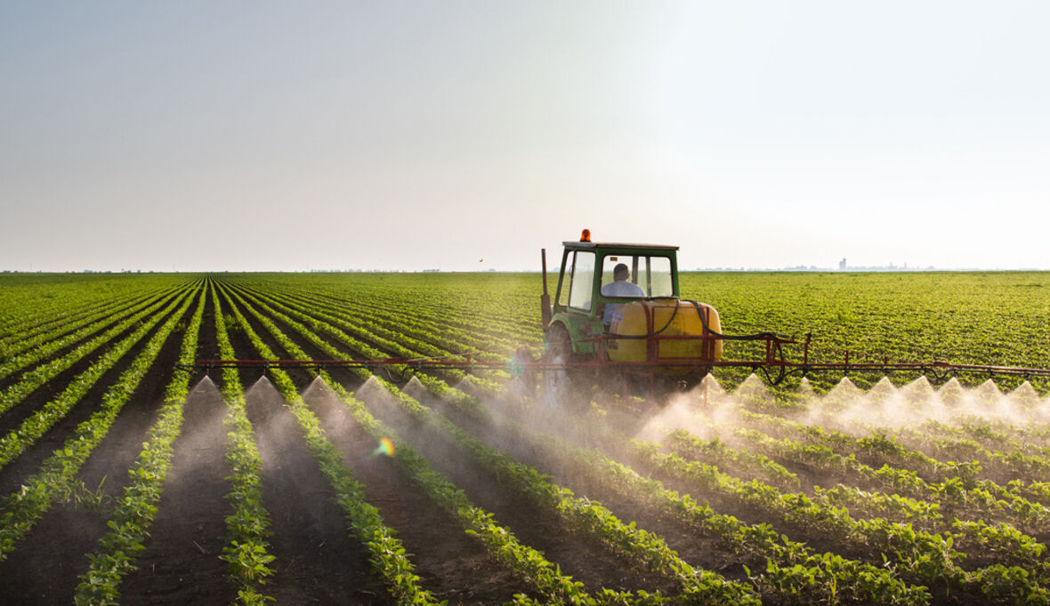 Omnibus Kollateralschaden: Freie Fahrt für Pestizide?