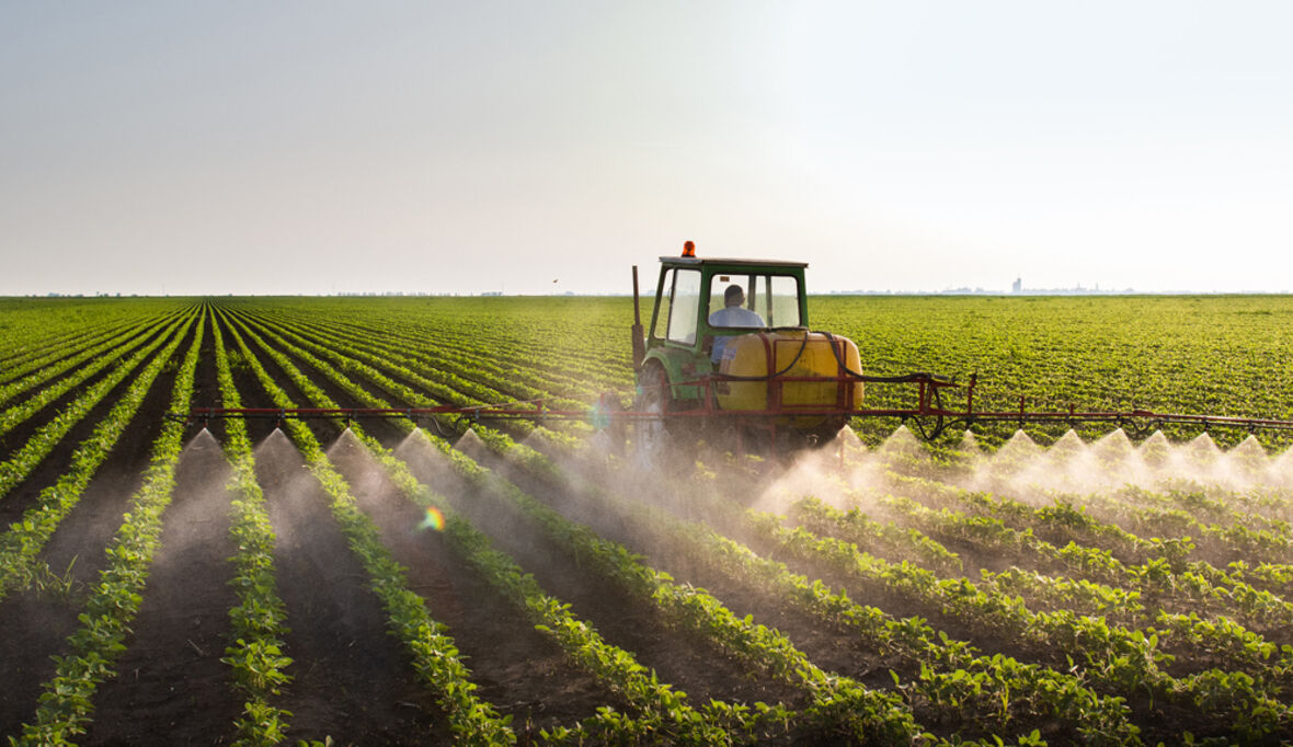 Privatgärten werden zur Biodiversitäts-Insel – Landwirtschaft bleibt im Pestizid-Hoch