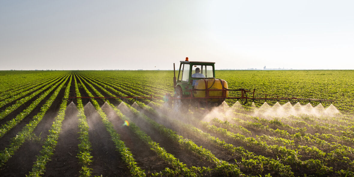 Privatgärten werden zur Biodiversitäts-Insel – Landwirtschaft bleibt im Pestizid-Hoch