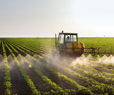 Privatgärten werden zur Biodiversitäts-Insel – Landwirtschaft bleibt im Pestizid-Hoch