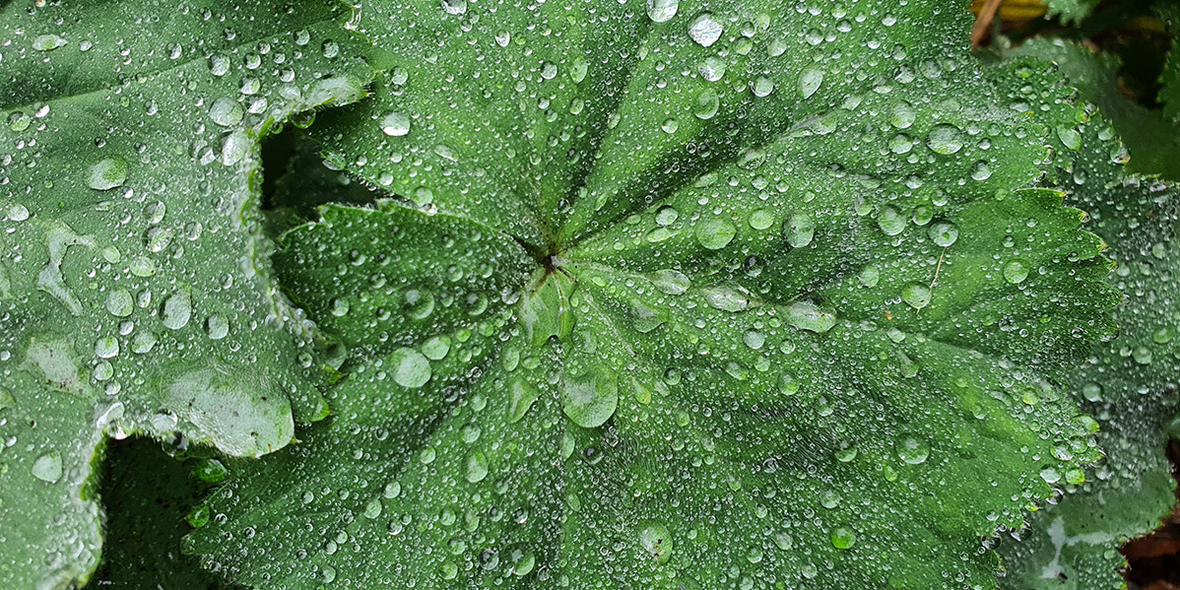 Studierende entwickeln schwimmende Inseln zur Wasserreinigung