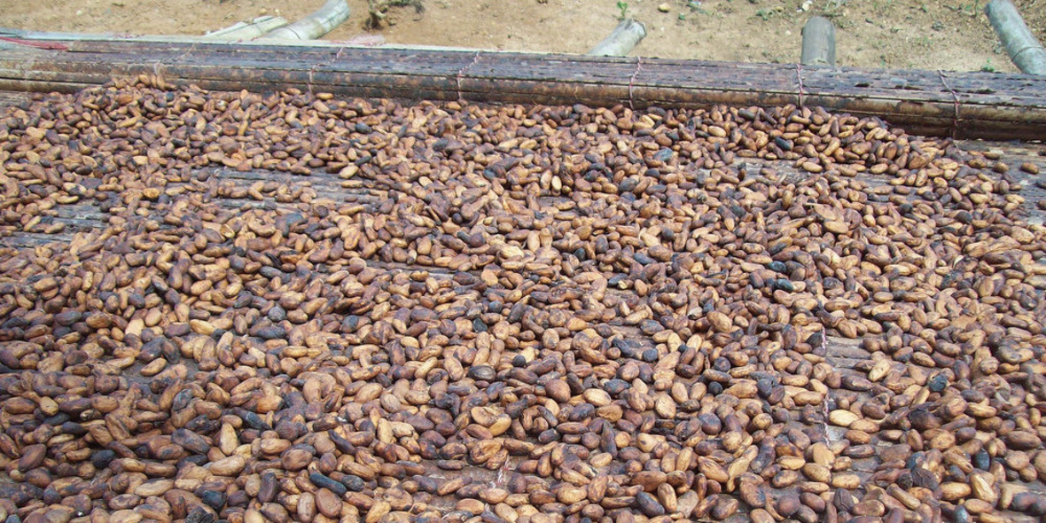 Nespresso unterstützt ehemaliges Konfliktgebiet in Kolumbien