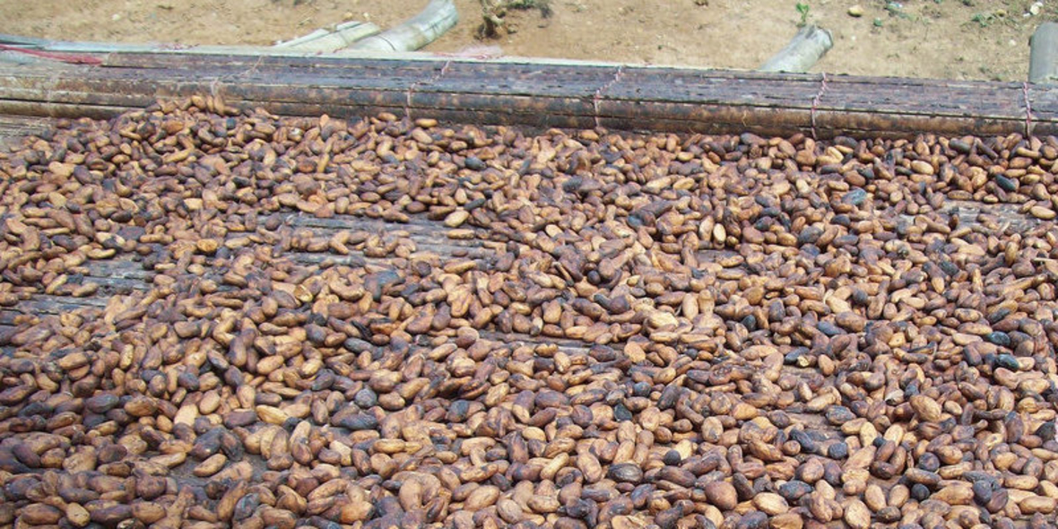 Fairtrade feiert Erfolge auf dem deutschen Süßwarenmarkt