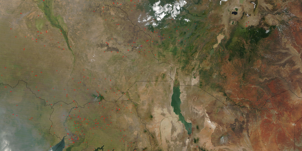 Wie ein besserer Zugang zu Satellitenbildern im Kampf gegen die Entwaldung hilft