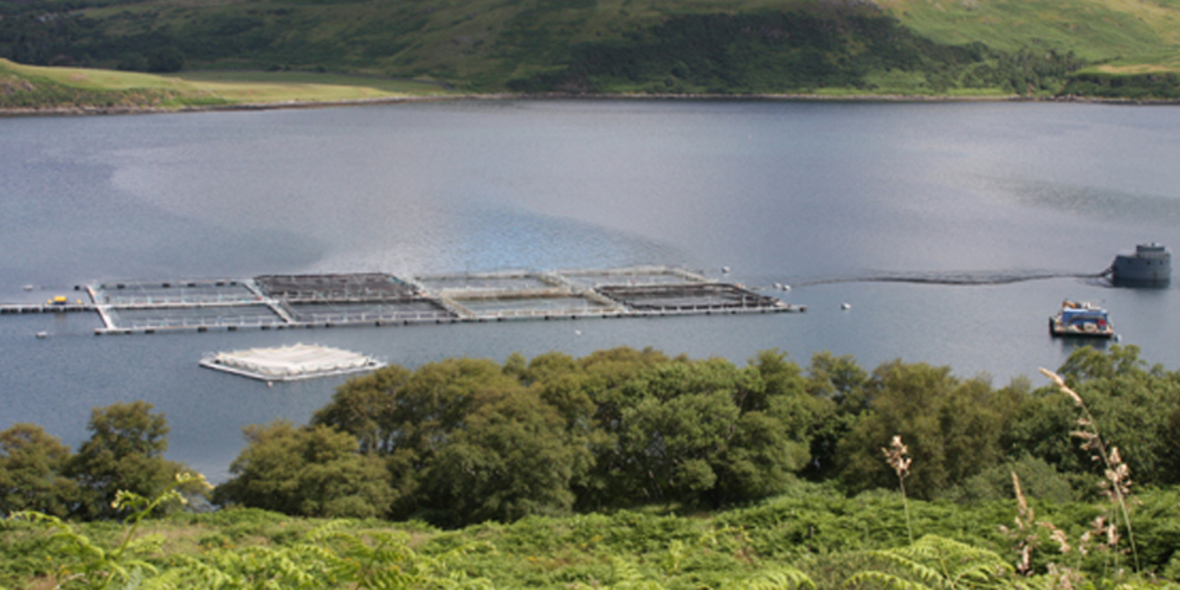 Chemikalien trüben Gewässerqualität