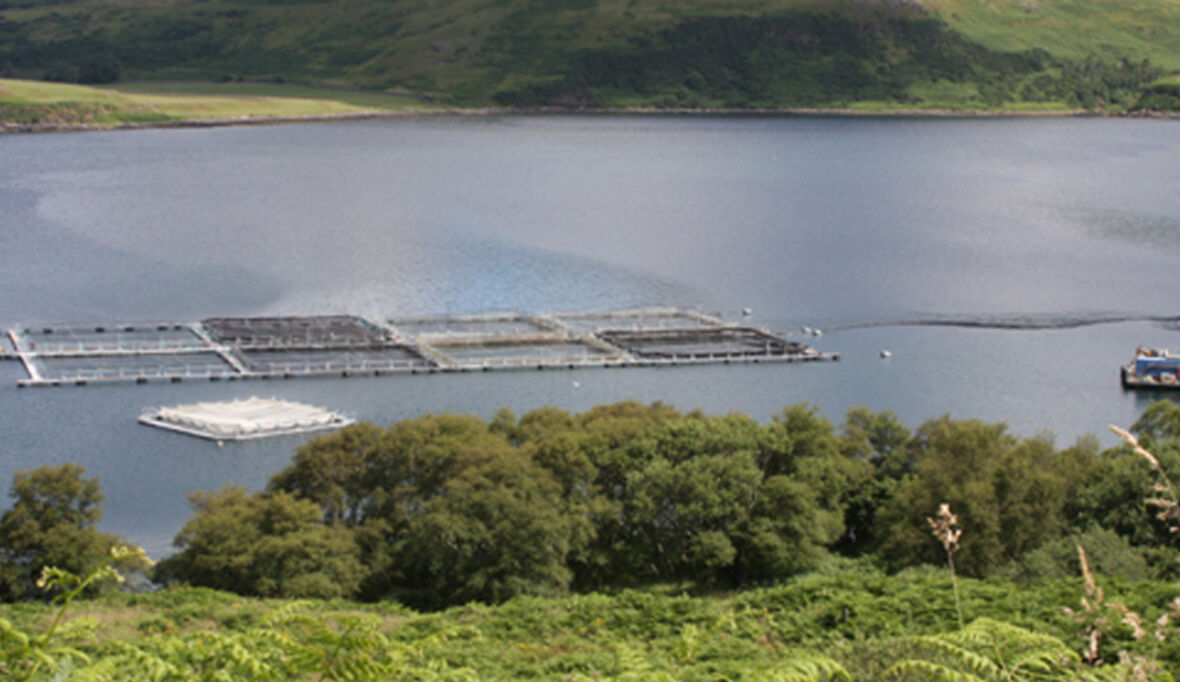 Chemikalien trüben Gewässerqualität