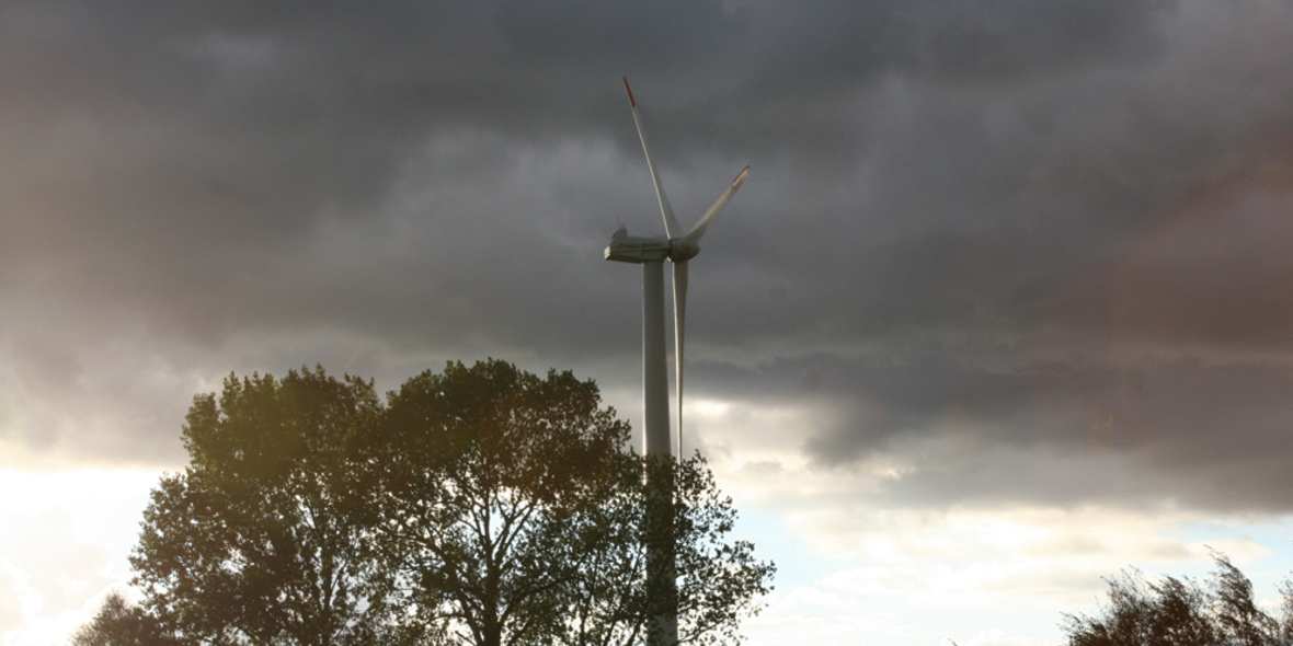 Ökoinsel in den Niederlanden 