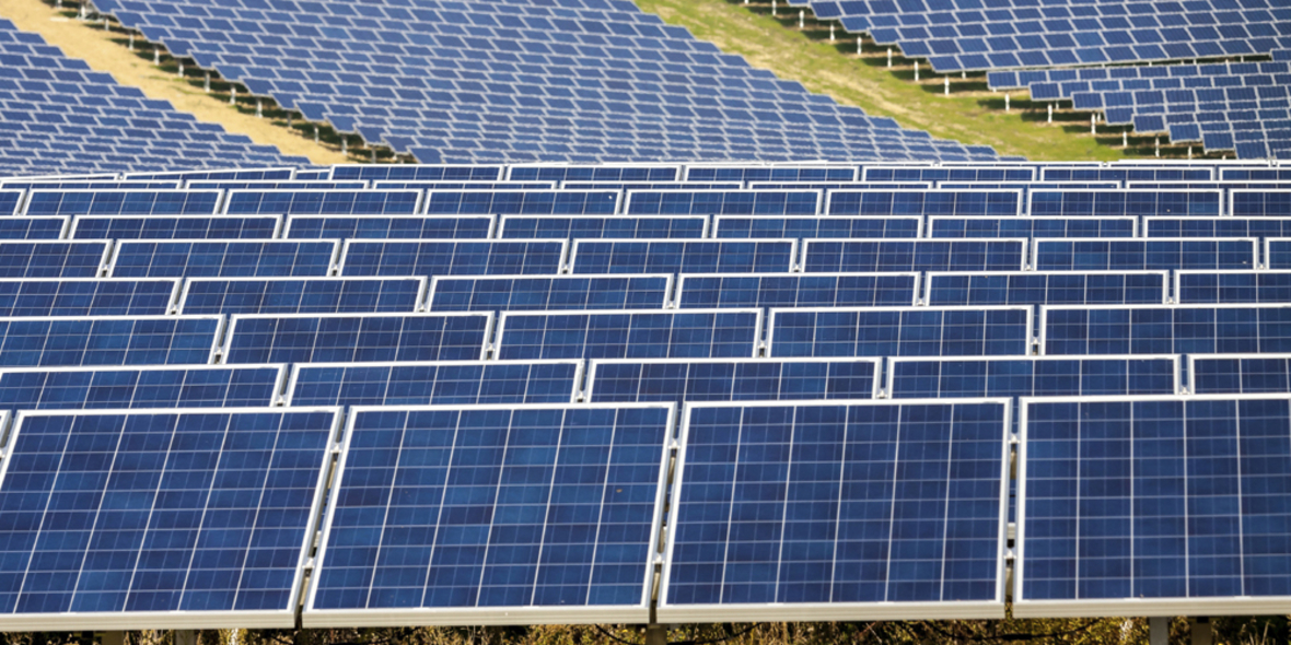 Unternehmen investieren in erneuerbare Energien 