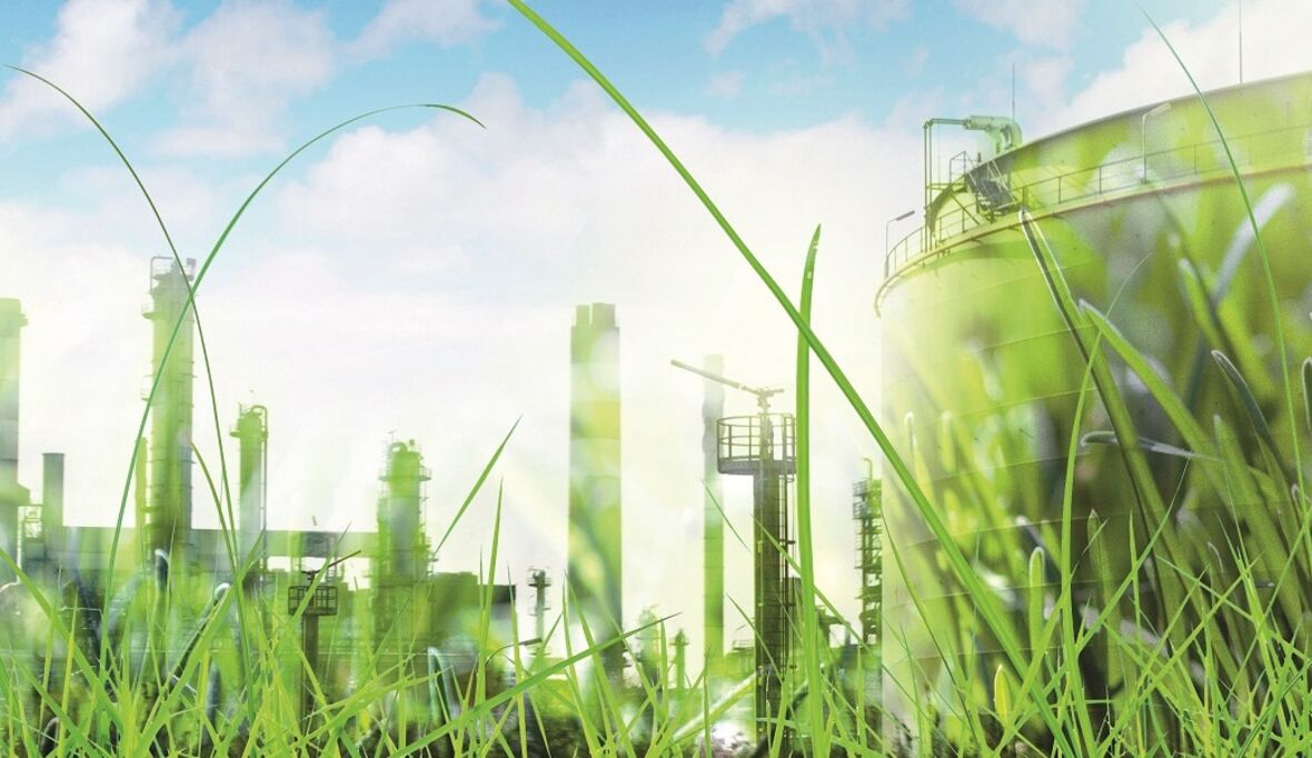 Weltbiodiversitätsrat zeigt Wege zu naturpositivem Wirtschaften