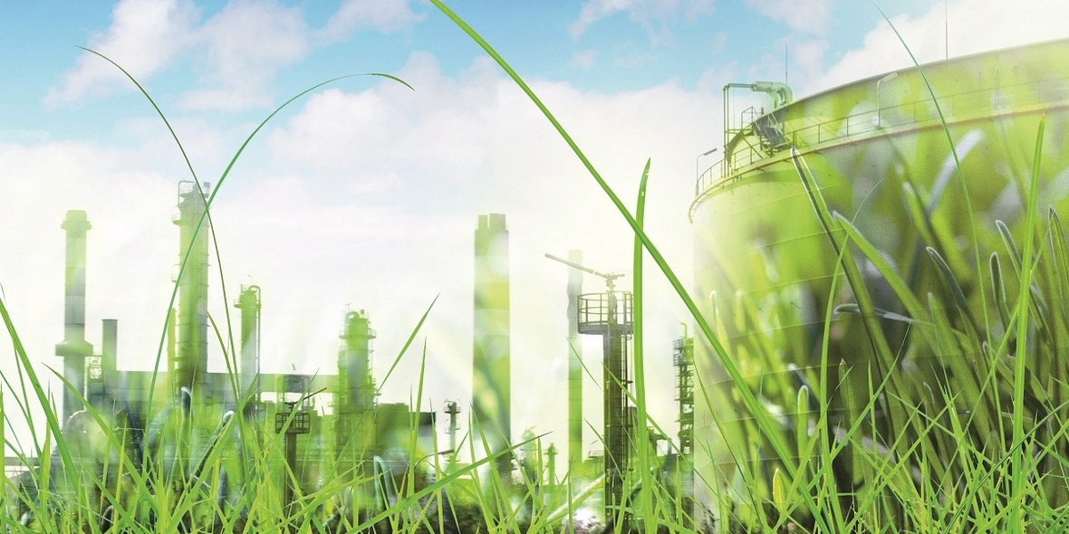 Weltbiodiversitätsrat zeigt Wege zu naturpositivem Wirtschaften