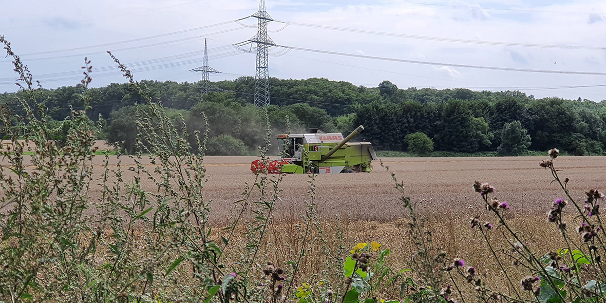 Agribusiness trotzt geopolitischen Herausforderungen