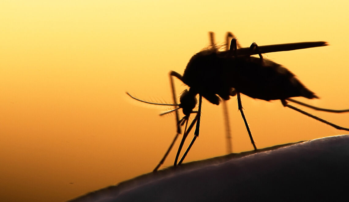 Pandemien und biologische Invasionen