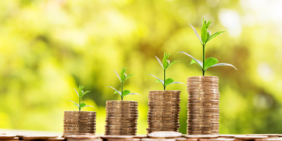 Gelder für den nachhaltigen Wandel: Investitionsbedarfe und Finanzierungsinstrumente