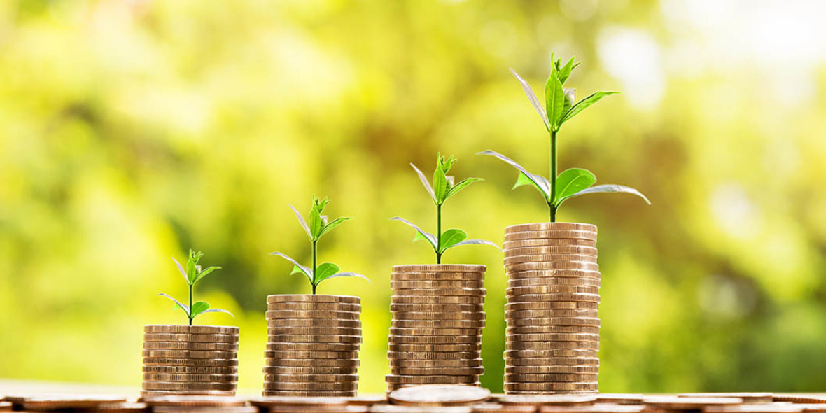 FNG-Marktbericht 2024: Finanzbranche setzt auf Biodiversität