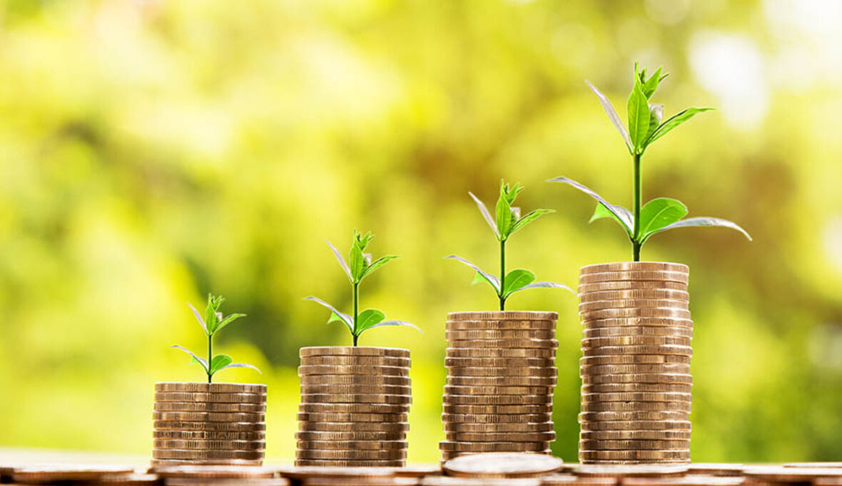 Gelder für den nachhaltigen Wandel: Investitionsbedarfe und Finanzierungsinstrumente