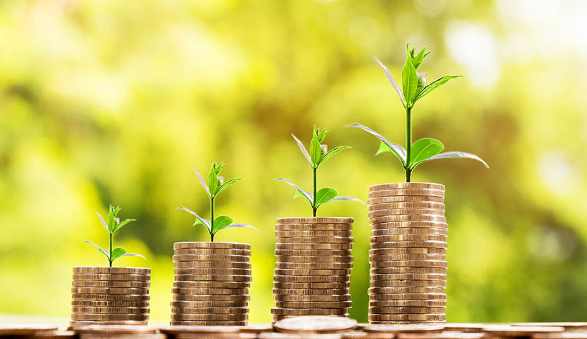 FNG-Marktbericht 2024: Finanzbranche setzt auf Biodiversität