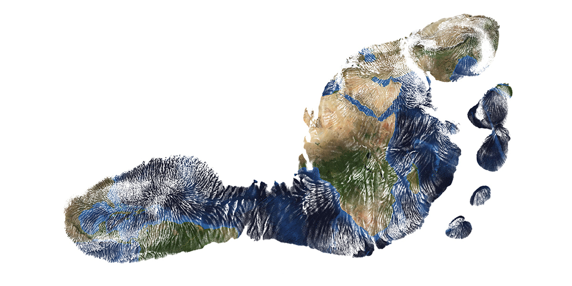 8 einfache Klima-Tipps der UNEP: Was jeder im Alltag gegen den Klimawandel tun kann