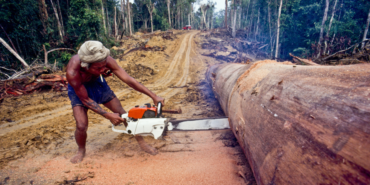 Ebolakrise bringt internationale Naturschutzpolitik in Bewegung