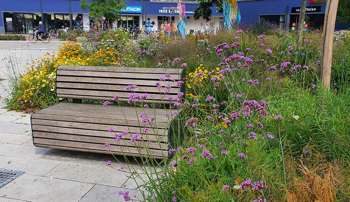 Nachhaltigkeit in Kommunen: Vom Managementprojekt zur Finanz- und Steuerungsaufgabe