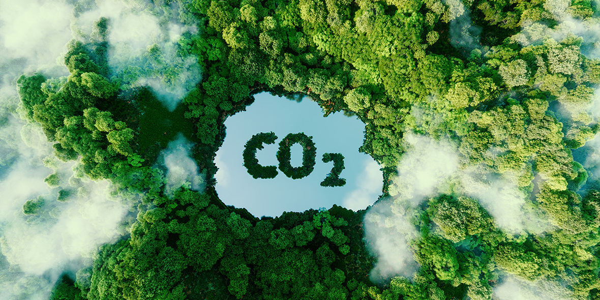 Neues Bewertungstool misst Qualität von CO2-Zertifikaten