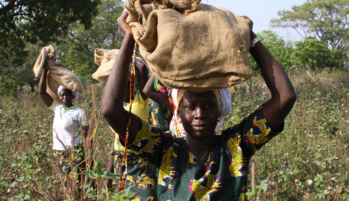 Finanzielle Teilhabe stärkt Klimaresilienz von Frauen in Subsahara-Afrika