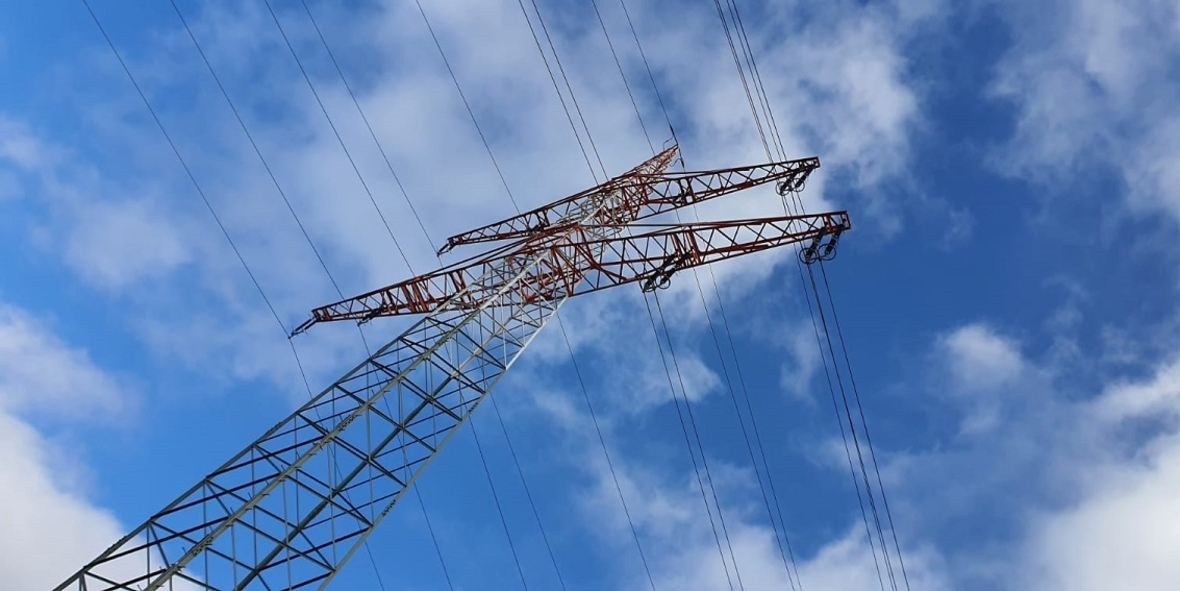 Energieeffizienz: 70 Prozent der Unternehmen wollen Produkte klimaneutral anbieten