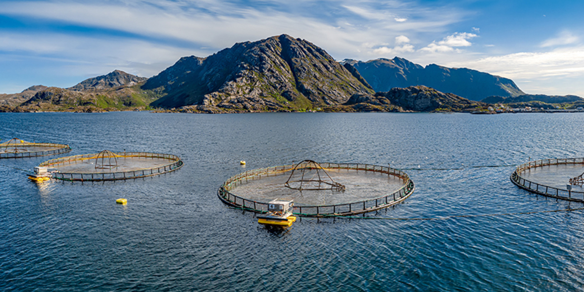 Hat nachhaltige Aquakultur in Deutschland eine Zukunft?