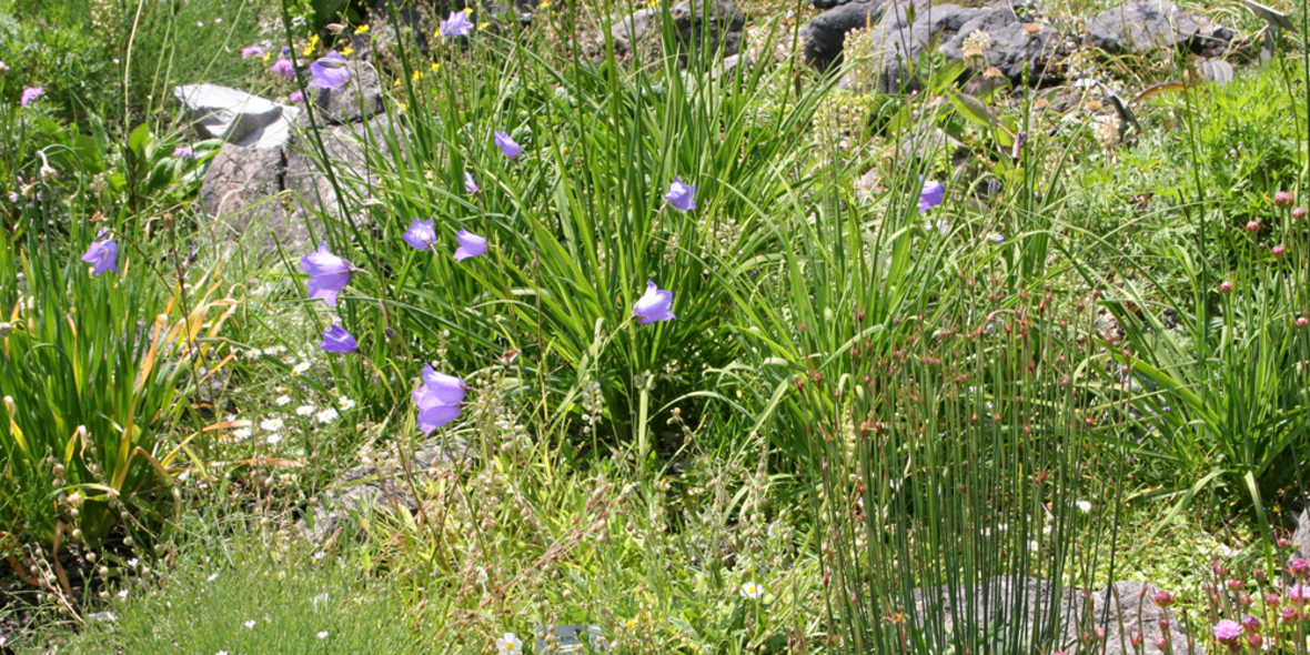 Ein Netz aus grünen Inseln 