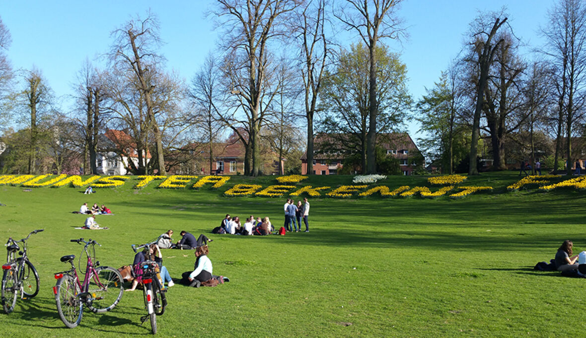 Naturschutz in der Großstadt: Was wirklich jeder beitragen kann