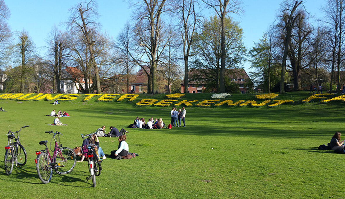 Hitze und Starkregen abpuffern