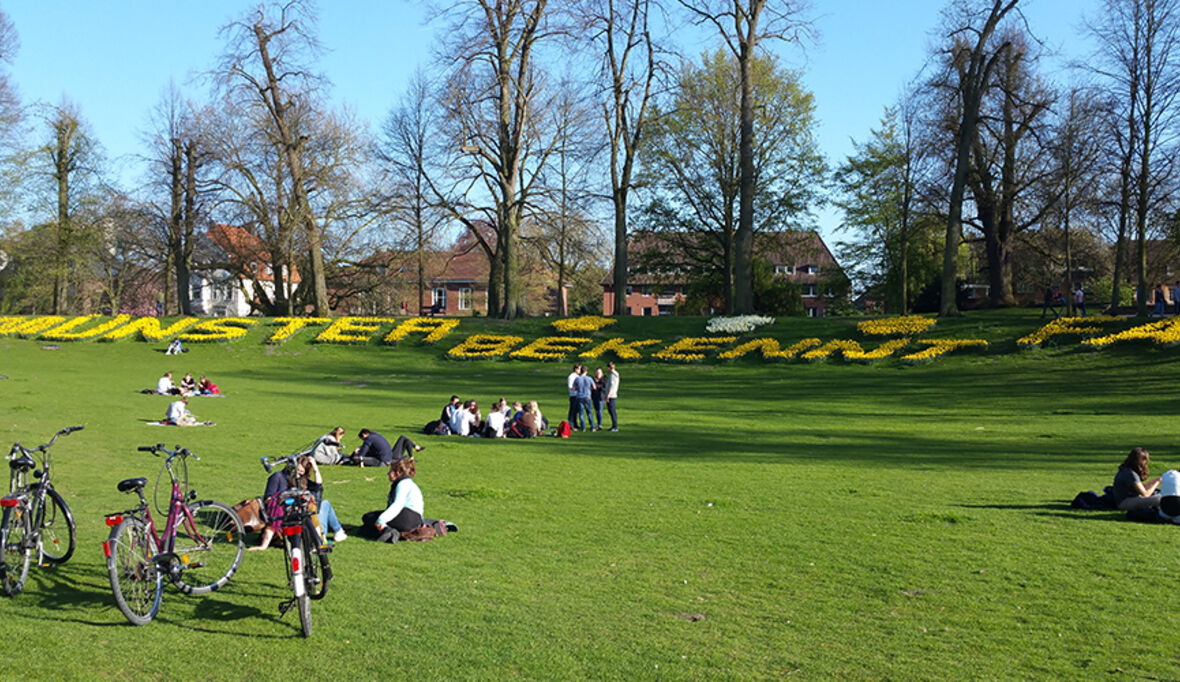 Stadtnatur für eine nachhaltige Stadtentwicklung