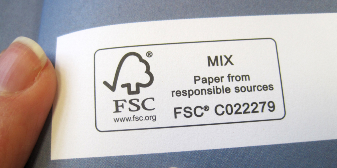 Indonesien: Kritik an FSC wächst