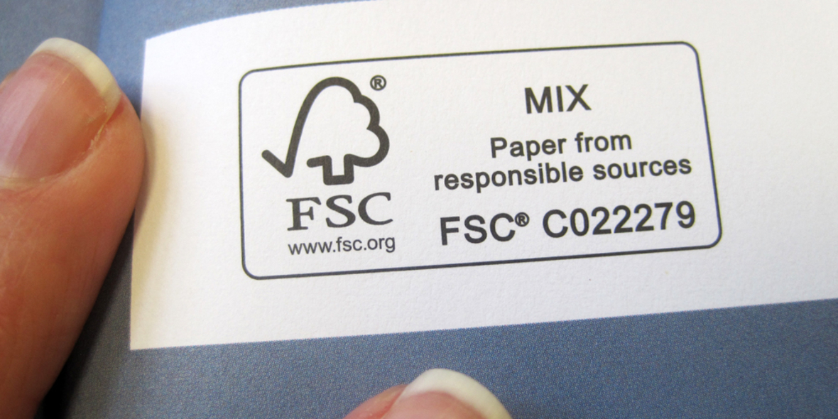 Nachhaltig den Wald schützen