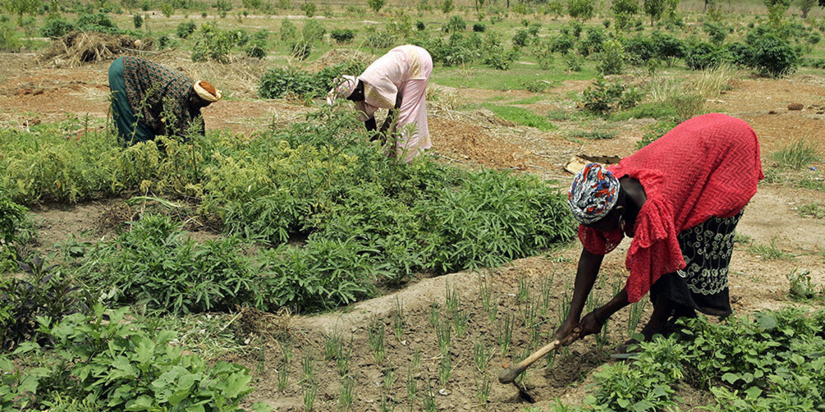 Forscher testen Grundeinkommen in Kenia 