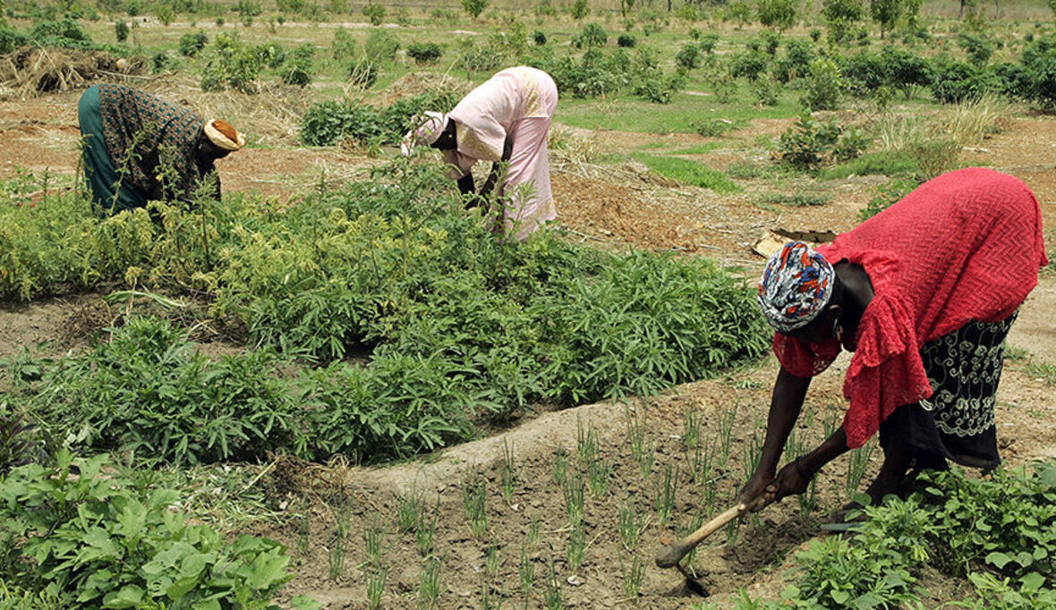 Forscher testen Grundeinkommen in Kenia 