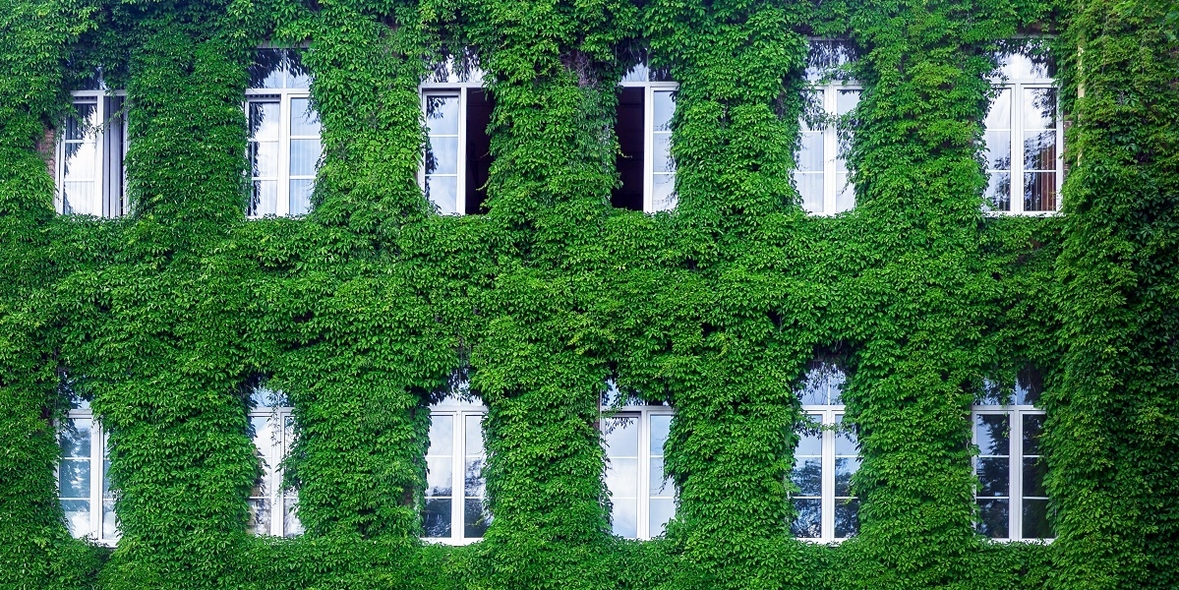 Grün fürs Eigenheim