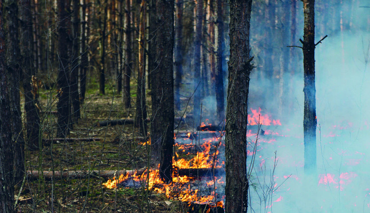 Die von Waldbränden betroffene Fläche in Europa könnte sich aufgrund des Klimawandels fast verdreifachen