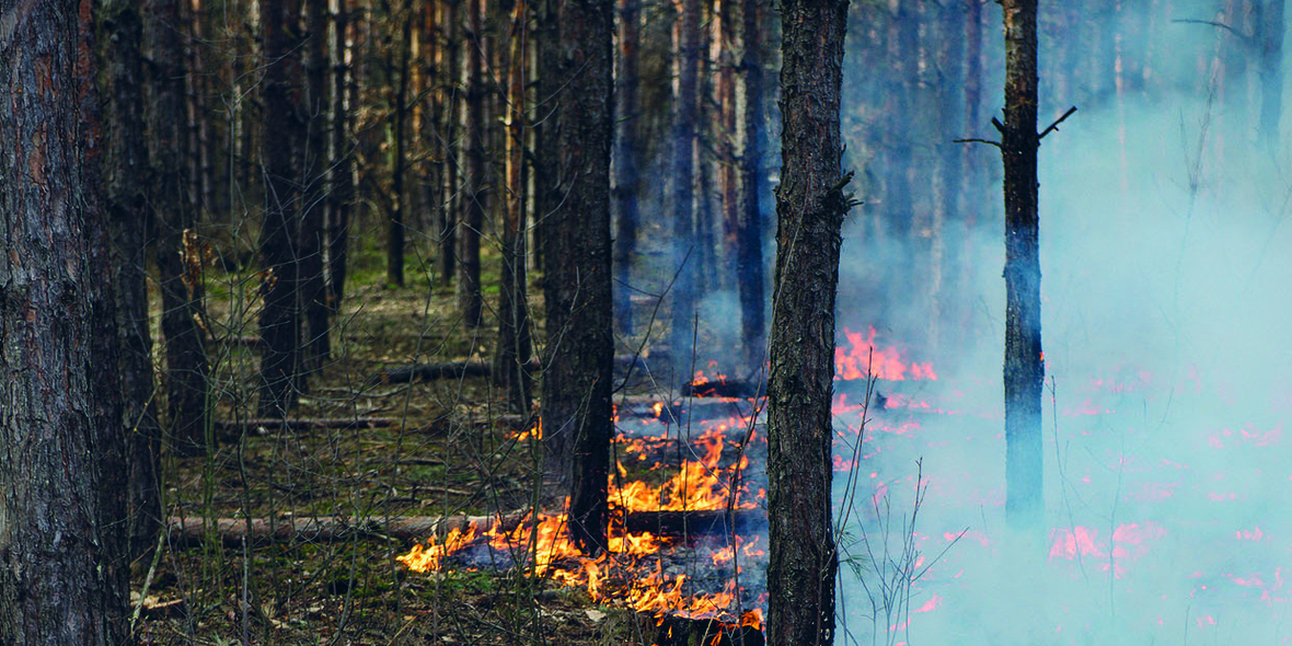 Die von Waldbränden betroffene Fläche in Europa könnte sich aufgrund des Klimawandels fast verdreifachen