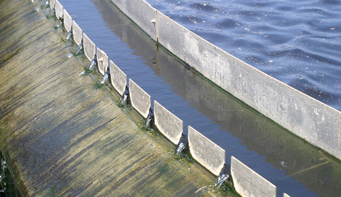 Intelligentes Wassermanagement