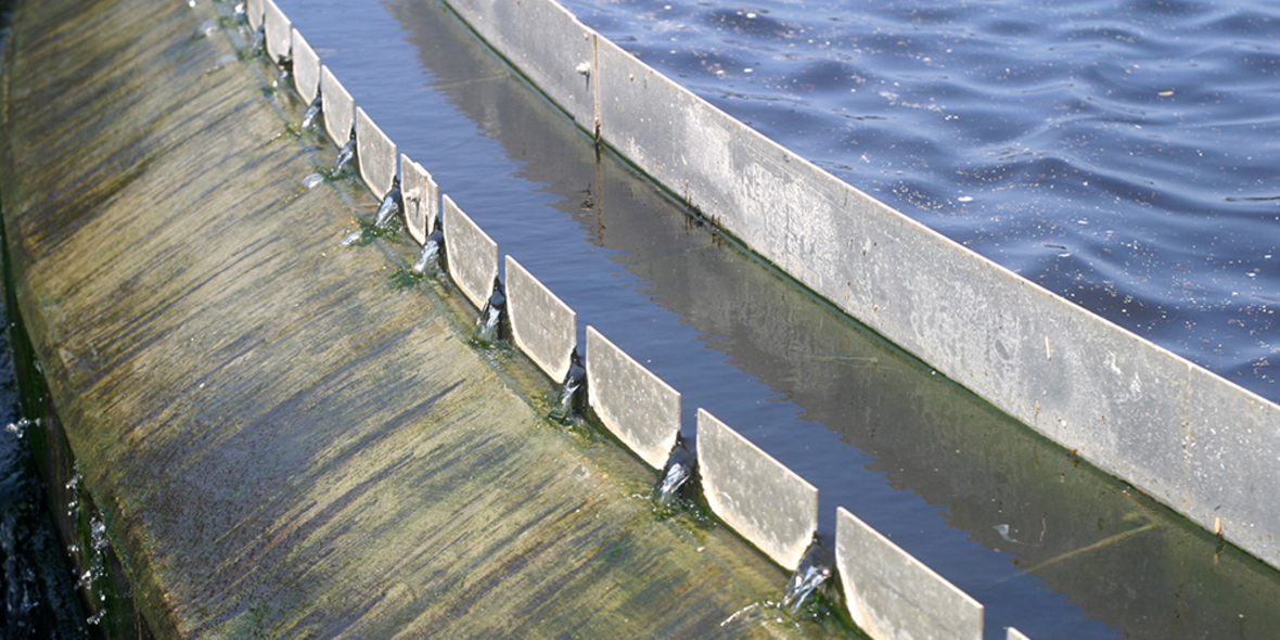 Intelligentes Wassermanagement