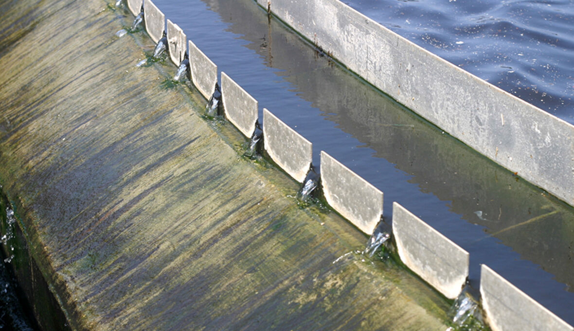 Es muss nicht immer Trinkwasser sein: Abwasser als Ressource nutzen