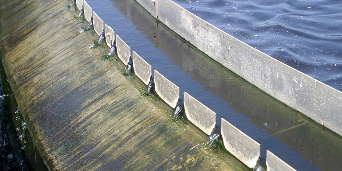 800 Milliarden Euro für Wasser — aber keine deutsche Blue-Bond-Architektur
