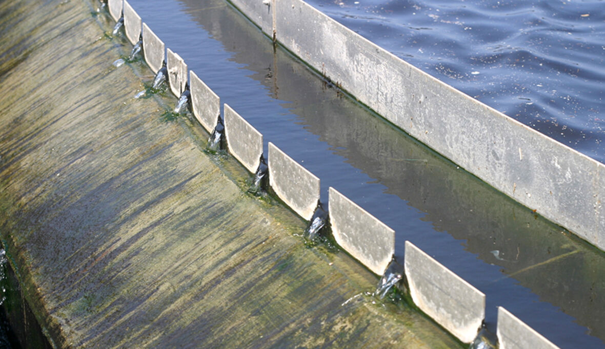 800 Milliarden Euro für Wasser — aber keine deutsche Blue-Bond-Architektur